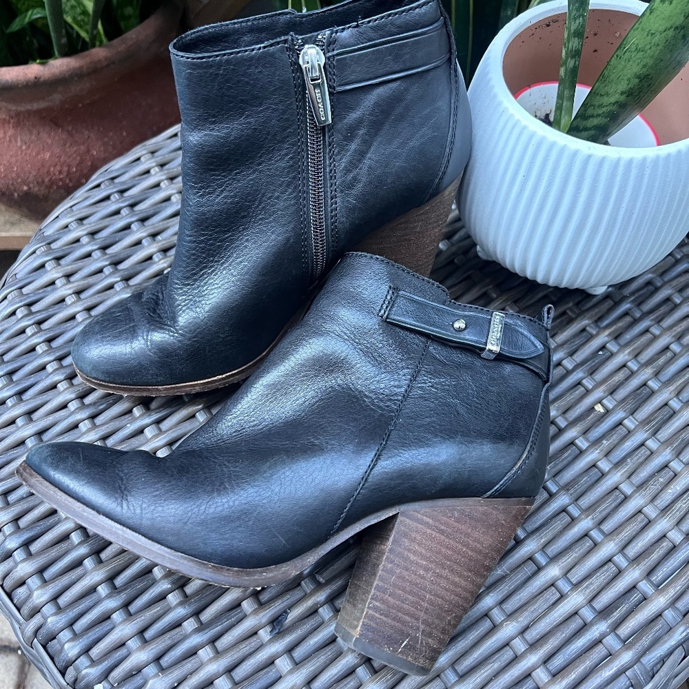 Coach ankle booties